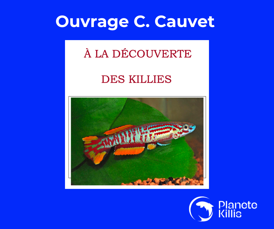 couverture Ouvrage C Cauvet : à la découverte des killies