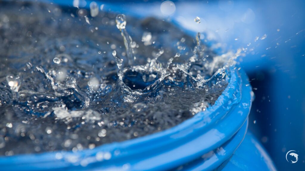 récupération d'eau de pluie