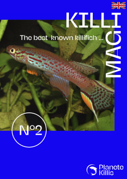 Couverture KilliMag 2 En