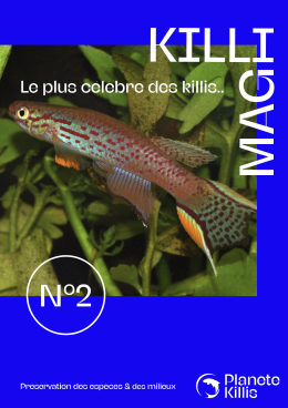 Couverture KilliMag 2 Fr